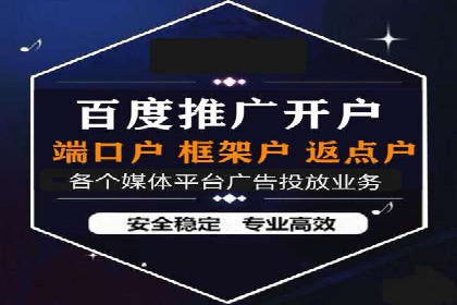 SEM广告投放的竞价策略与效果评估案例
